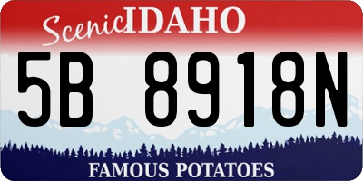 ID license plate 5B8918N