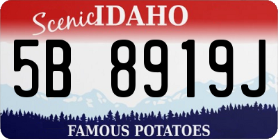 ID license plate 5B8919J