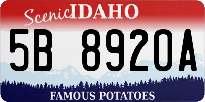 ID license plate 5B8920A