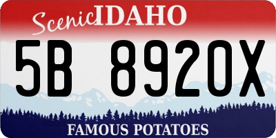 ID license plate 5B8920X