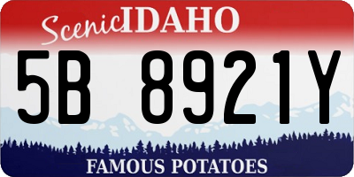 ID license plate 5B8921Y
