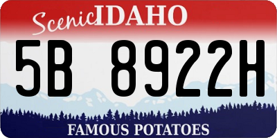 ID license plate 5B8922H