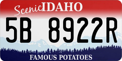 ID license plate 5B8922R