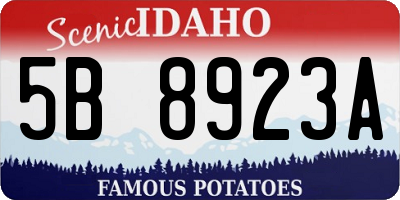 ID license plate 5B8923A