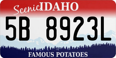 ID license plate 5B8923L