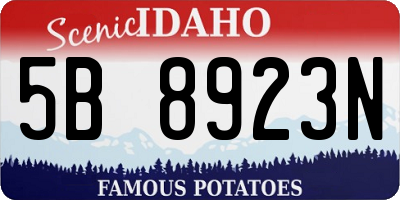 ID license plate 5B8923N