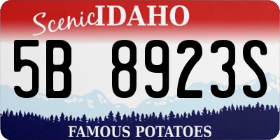 ID license plate 5B8923S