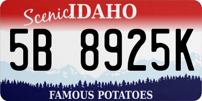 ID license plate 5B8925K
