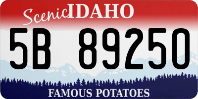 ID license plate 5B8925O