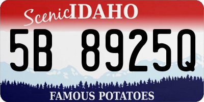 ID license plate 5B8925Q