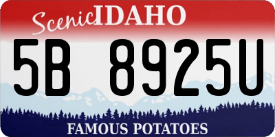 ID license plate 5B8925U
