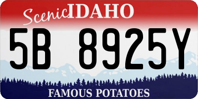 ID license plate 5B8925Y