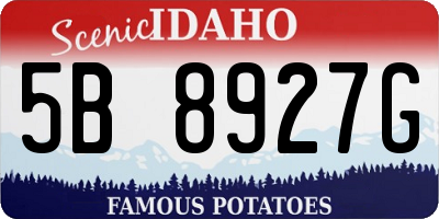 ID license plate 5B8927G