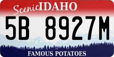 ID license plate 5B8927M