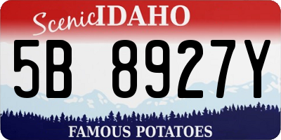 ID license plate 5B8927Y