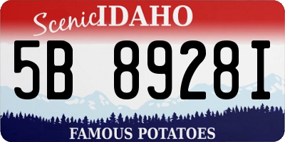 ID license plate 5B8928I