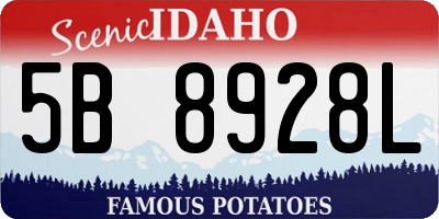 ID license plate 5B8928L