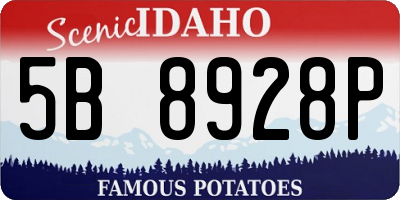 ID license plate 5B8928P