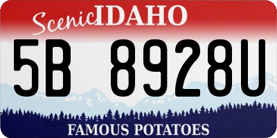 ID license plate 5B8928U