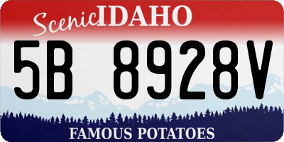 ID license plate 5B8928V