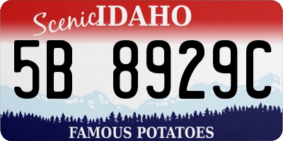 ID license plate 5B8929C