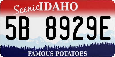 ID license plate 5B8929E