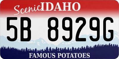 ID license plate 5B8929G