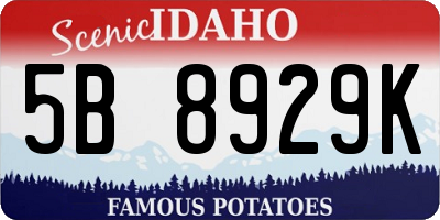 ID license plate 5B8929K