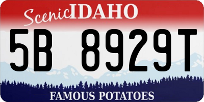 ID license plate 5B8929T