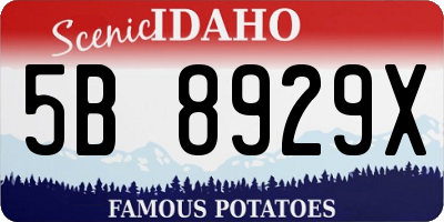 ID license plate 5B8929X