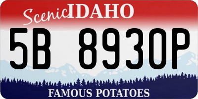 ID license plate 5B8930P