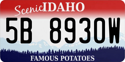 ID license plate 5B8930W