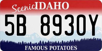 ID license plate 5B8930Y