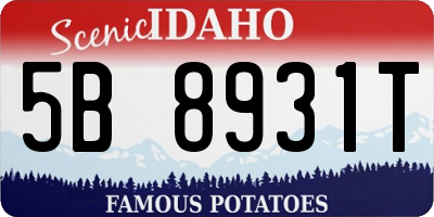 ID license plate 5B8931T