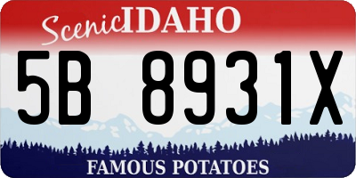 ID license plate 5B8931X
