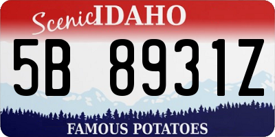 ID license plate 5B8931Z