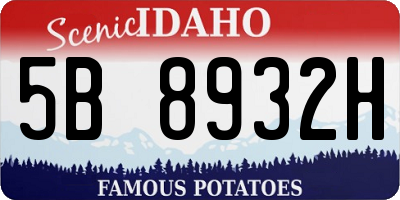ID license plate 5B8932H