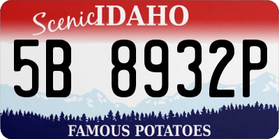 ID license plate 5B8932P