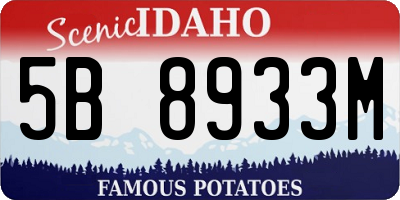 ID license plate 5B8933M