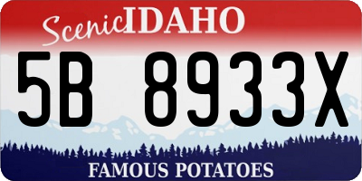 ID license plate 5B8933X