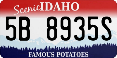 ID license plate 5B8935S