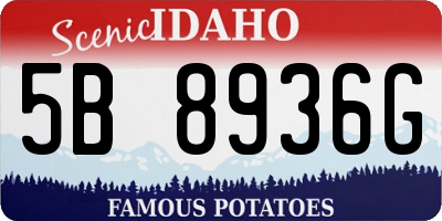 ID license plate 5B8936G