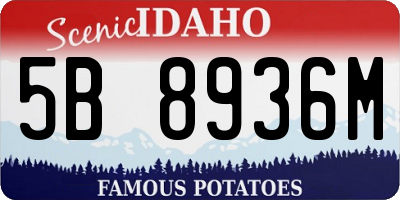 ID license plate 5B8936M