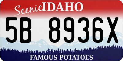 ID license plate 5B8936X