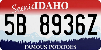 ID license plate 5B8936Z