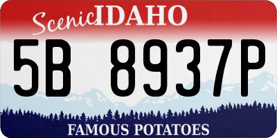 ID license plate 5B8937P