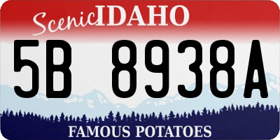 ID license plate 5B8938A