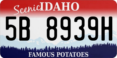 ID license plate 5B8939H
