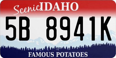 ID license plate 5B8941K