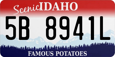 ID license plate 5B8941L